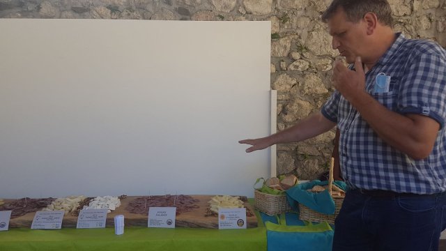 posvet posocje 2021 8